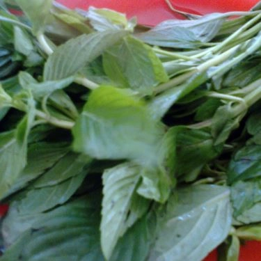 Tổng hợp- Quán Ăn Phở Thanh Hà - Minh Khai