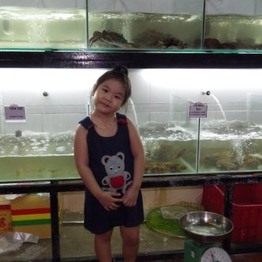 Tổng hợp- Quán Ăn Quán Một Nắng - Hải Sản Tươi Sống Cà Mau