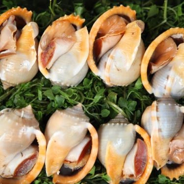 Món ăn- Quán Ăn Quán Một Nắng - Hải Sản Tươi Sống Cà Mau