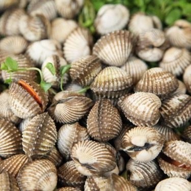 Món ăn- Quán Ăn Quán Một Nắng - Hải Sản Tươi Sống Cà Mau