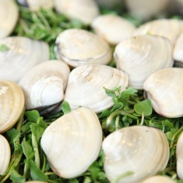 Món ăn- Quán Ăn Quán Một Nắng - Hải Sản Tươi Sống Cà Mau