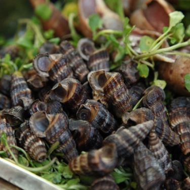 Món ăn- Quán Ăn Quán Một Nắng - Hải Sản Tươi Sống Cà Mau