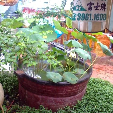 Tổng hợp- Quán Ăn Quán Ngã Ba Sông - Ẩm Thực 3 Miền