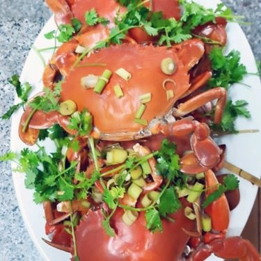 Professional- Quán Ăn Hải Sản Sóng Xanh