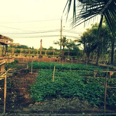 Tổng hợp- 5Ku Farm - Nông Trại & Quán Ăn