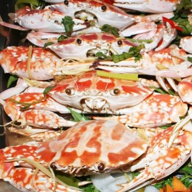 Tổng hợp- Quán Ăn Hải Sản Biển Đông - 802 Âu Cơ