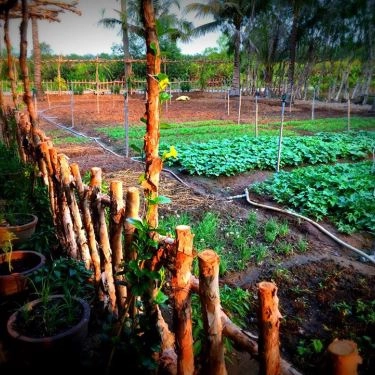 Tổng hợp- 5Ku Farm - Nông Trại & Quán Ăn