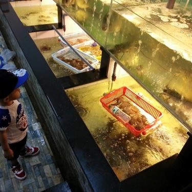 Tổng hợp- Nhà Hàng Ẩm Thực Việt Hoa Phố - Bò Nướng Bàn Ủi