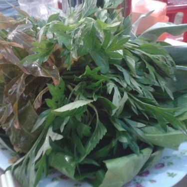 Tổng hợp- Quán Ăn Đồng Xanh - Bánh Tráng Phơi Sương