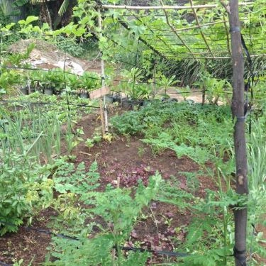 Tổng hợp- Quán Ăn Family Garden - Thảo Điền