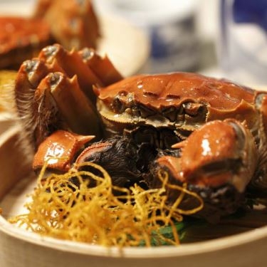 Professional- Nhà Hàng TaoLi Seafood Restaurant