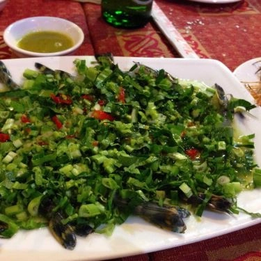 Tổng hợp- Quán Ăn 5 Muội - Quán Nhậu Đường Phố