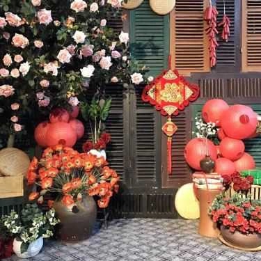 Tổng hợp- Kiwi - Bò Nhúng Dấm