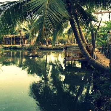 Tổng hợp- 5Ku Farm - Nông Trại & Quán Ăn