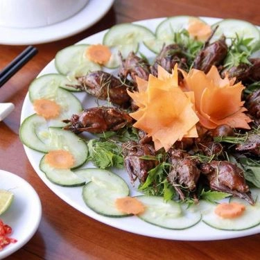 Professional- Quán Ăn Quán Tôi - Lẩu, Gà Lu, Bia Tươi & Các Món Nhậu