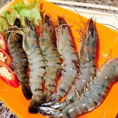 Professional- Quán Ăn Korean BBQ - Thịt Nướng Hàn Quốc - Đào Nguyên