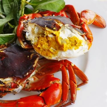 Tổng hợp- Quán Ăn Út Cà Mau - Đặc Sản Cua Biển - Điện Biên Phủ