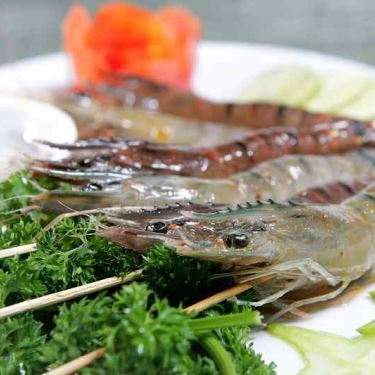 Professional- Nhà Hàng Nướng BARBECUE GARDEN