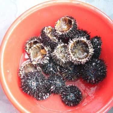 Tổng hợp- Quán Ăn Bãi Khem - Ẩm Thực & Sinh Thái