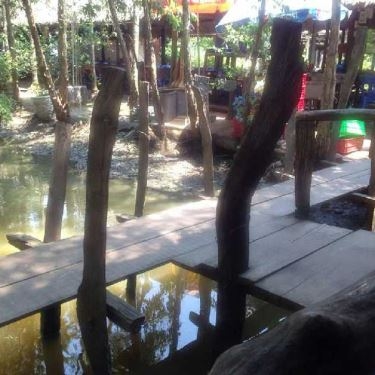 Tổng hợp- Quán Ăn Ẩm Thực Ca Nhạc Sống Tràm Chim