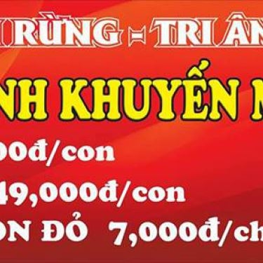 Tổng hợp- Nhà Hàng Ẩm Thực Chim Rừng