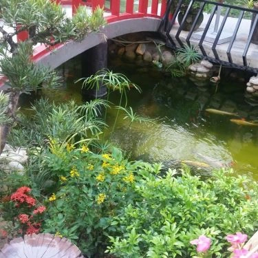 Tổng hợp- Nhà Hàng Ẩm Thực Danang Corner