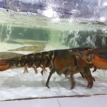 Tổng hợp- Ẩm Thực Ngân Sáng - Quán Ăn Gia Đình