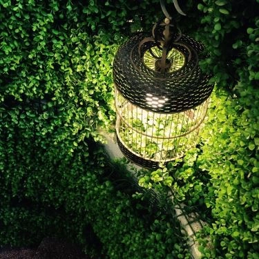 Tổng hợp- Quán Ăn Ẩm Thực Ngõ - Lẩu & Các Món Nhậu