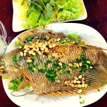 Tổng hợp- Quán Ăn Ẩm Thực Beer City
