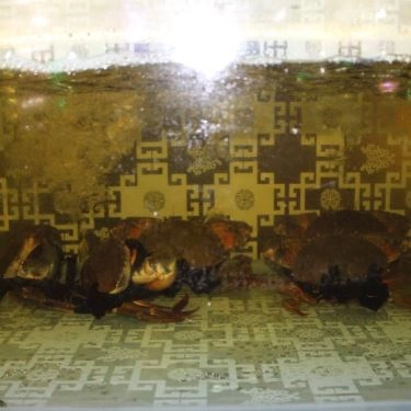 Tổng hợp- Ẩm Thực Rừng Lan - Quán Ăn Gia Đình
