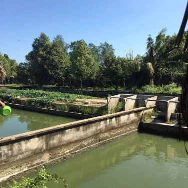 Không gian- Nhà Hàng Quán Đồng Quê - Ẩm Thực Sân Vườn