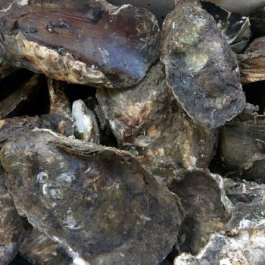 Tổng hợp- Quán Ăn Ẩm Thực Ven Sông 2 - Lẩu Cua Đồng