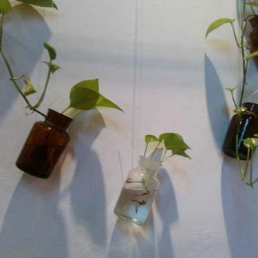Tổng hợp- Quán Ăn An Biên - Món Ngon Hải Phòng - Triệu Việt Vương