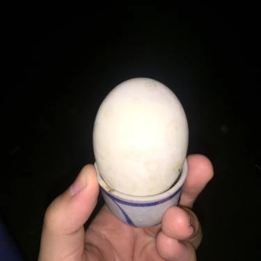 Món ăn- Quán Ăn Ăn Vặt Vỉa Hè Phan Xích Long