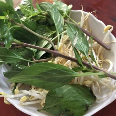 Tổng hợp- Quán Ăn Ánh Minh - Hủ Tiếu Mực Ánh Minh