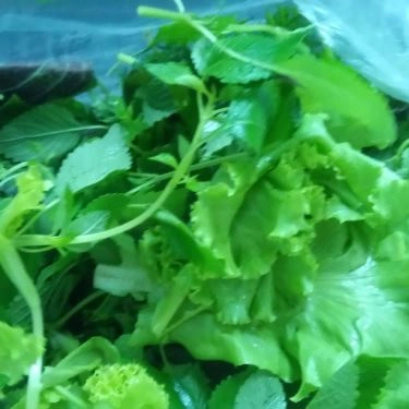 Tổng hợp- Quán Ăn Bà Hồng - Nem Tai, Giò Chả