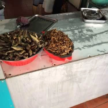 Tổng hợp- Bà Lan Béo - Cháo, Bún & Miến