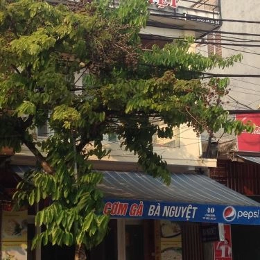 Tổng hợp- Quán Ăn Cơm Gà Bà Nguyệt - Lê Đình Dương