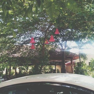 Tổng hợp- Nhà Hàng Ba Sen Vàng - Câu Cá Giải Trí