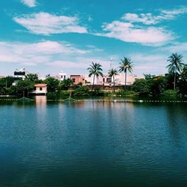 Tổng hợp- Nhà Hàng Ba Sen Vàng - Câu Cá Giải Trí