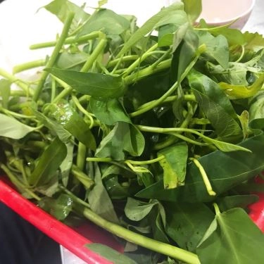 Tổng hợp- Quán Ăn Bạch Tuộc Nướng Kiên Giang