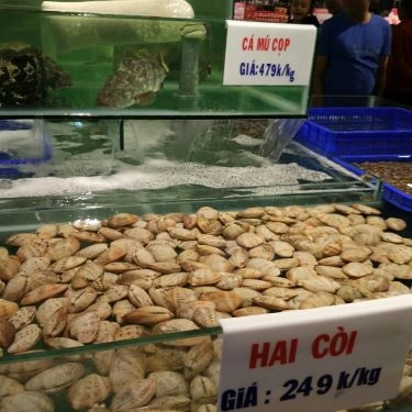 Tổng hợp- Quán Ăn Bamboo Dimsum - Lotte Mart Gò Vấp