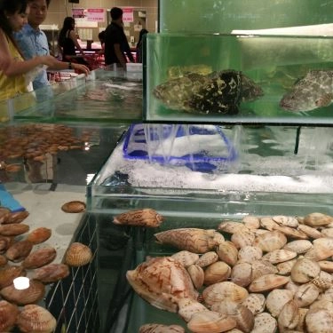 Tổng hợp- Quán Ăn Bamboo Dimsum - Lotte Mart Gò Vấp