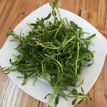 Tổng hợp- Quán Ăn Quán 235 - Bánh Canh Cá Lóc