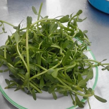 Tổng hợp- Quán Ăn 9 Tấn - Bánh Canh Cá Lóc