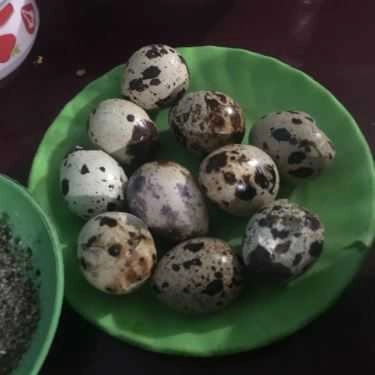 Món ăn- Quán Ăn Bánh Canh Cá Lóc Bê