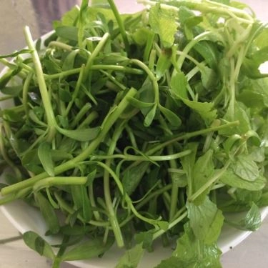 Tổng hợp- Quán Ăn Bánh Canh Cá Lóc Gia Đình