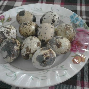Món ăn- Quán Ăn O Thủy - Bánh Canh Cá Lóc