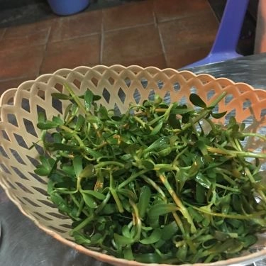 Tổng hợp- Quán Ăn Đông Hà - Bánh Canh Cá Lóc - Nguyên Hồng