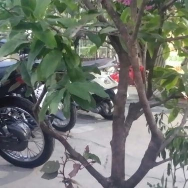 Tổng hợp- Quán Ăn Bánh Canh Cá Lóc Quảng Trị - Phạm Văn Hai
